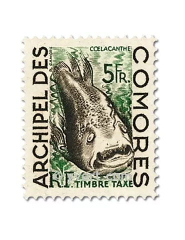 n° 3/5 - Timbre Comores Taxe