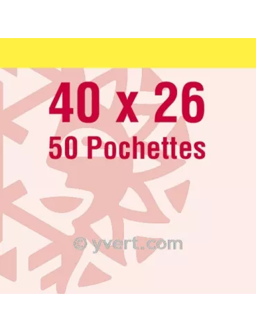 Pochettes simple soudure - Lxh:40x26mm (Fond transparent) 2