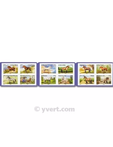 n° BC813 - Timbre France Autoadhésifs