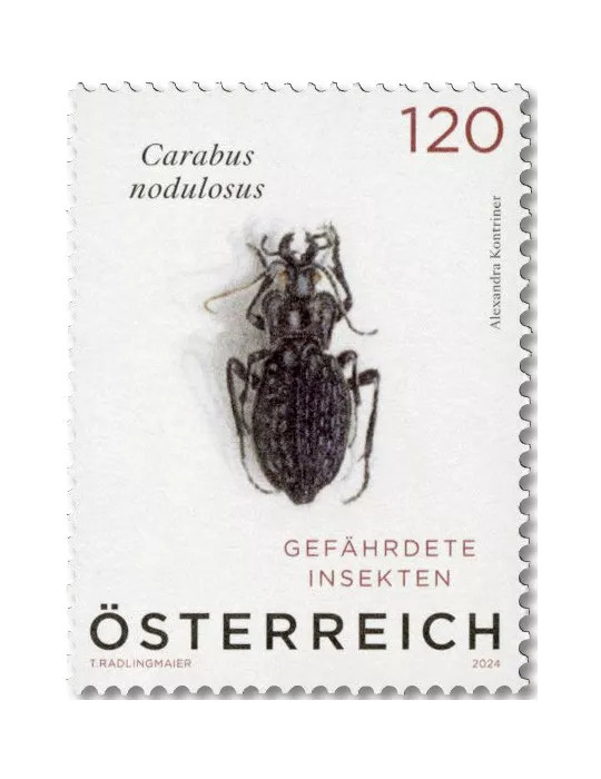 n° 3667 - Timbre AUTRICHE Poste