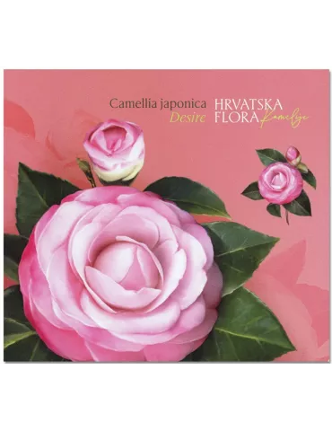 n° C1515/C1517 - Timbre CROATIE Carnets 2