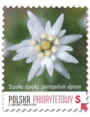 n° 5065 - Timbre POLOGNE Poste