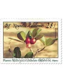 n° 556 - Timbre Nelle-Calédonie Poste