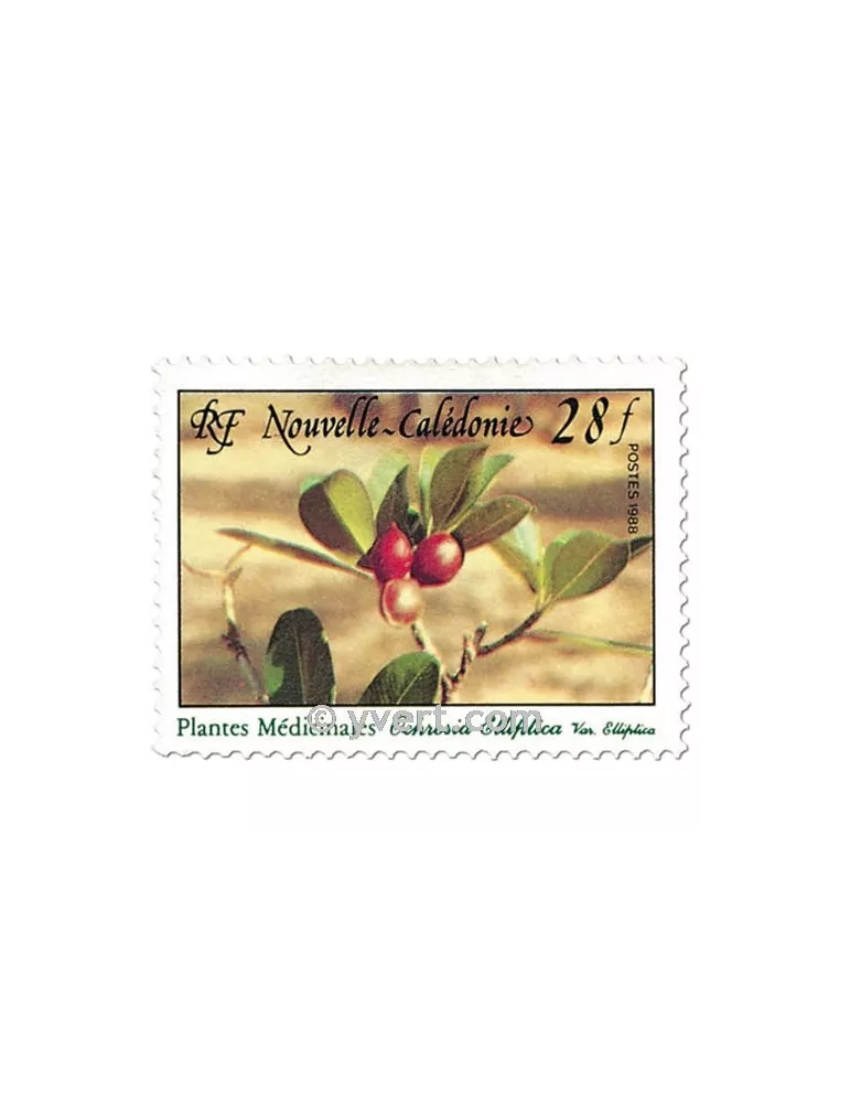 n° 556 - Timbre Nelle-Calédonie Poste