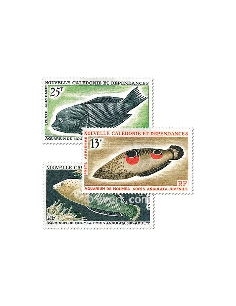 n° 81/83 - Timbre Nelle-Calédonie Poste aérienne