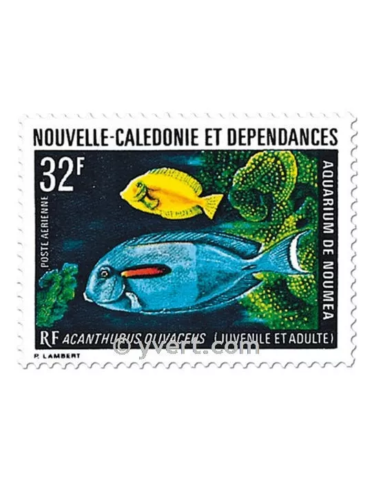n° 145 - Timbre Nelle-Calédonie Poste aérienne