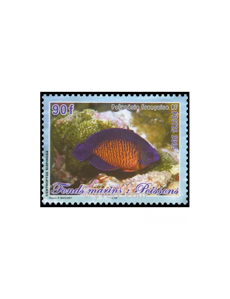 n° 31 - Timbre Polynésie Bloc et feuillets