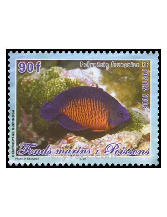n° 31 - Timbre Polynésie Bloc et feuillets