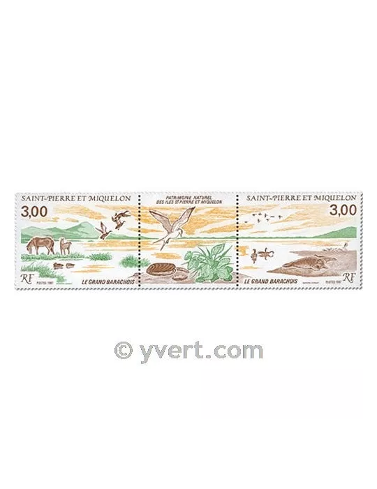 n° 485A - Timbre Saint-Pierre et Miquelon Poste