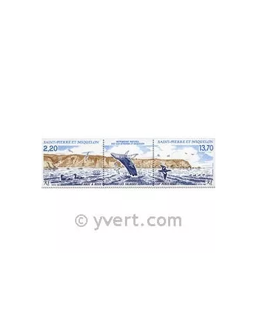 n° 495A - Timbre Saint-Pierre et Miquelon Poste