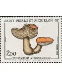 n° 513 - Timbre Saint-Pierre et Miquelon Poste