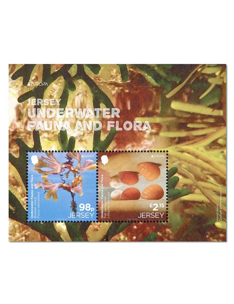 n° F2813 - Timbre JERSEY Poste