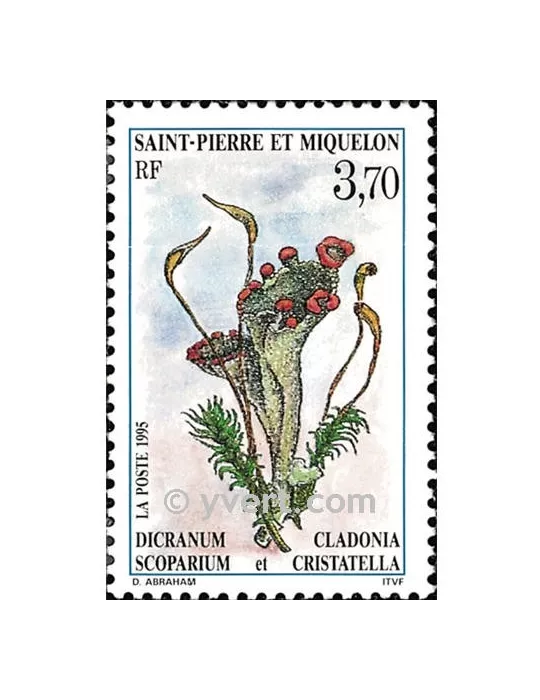 n° 611 - Timbre Saint-Pierre et Miquelon Poste