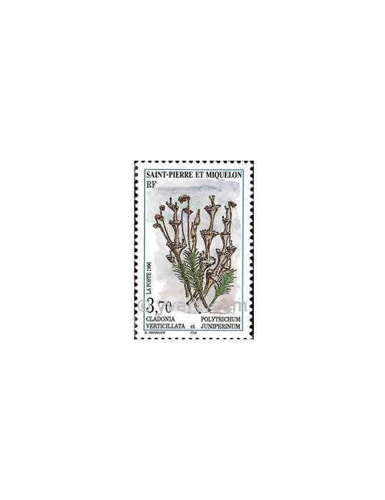 n° 626 - Timbre Saint-Pierre et Miquelon Poste