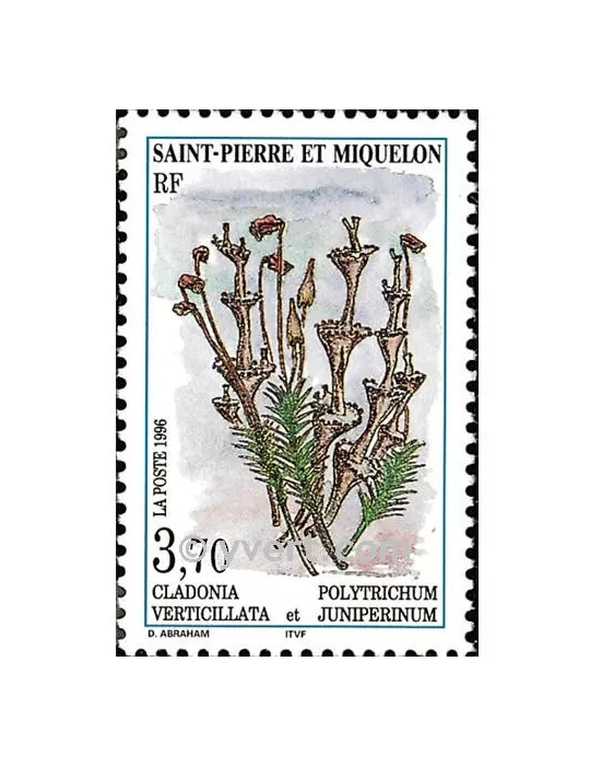 n° 626 - Timbre Saint-Pierre et Miquelon Poste