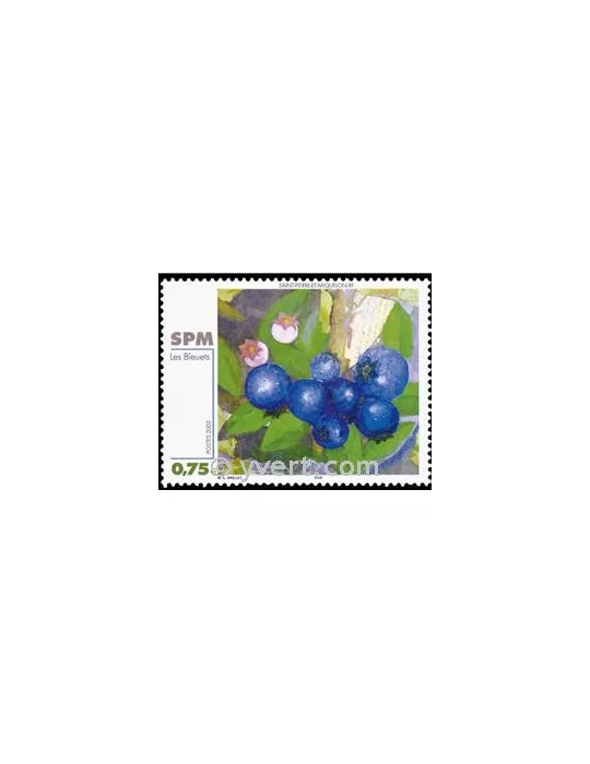 n° 794 - Timbre Saint-Pierre et Miquelon Poste