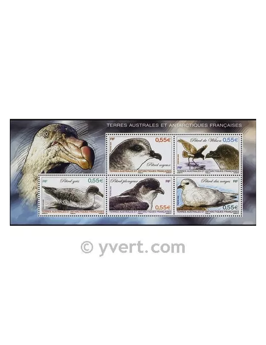 n° 22 - Timbre TAAF Bloc et feuillets