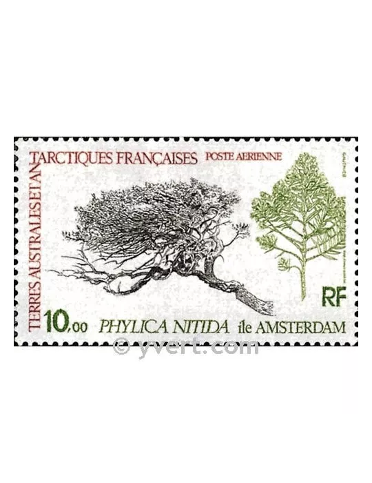 n° 60 - Timbre TAAF Poste aérienne