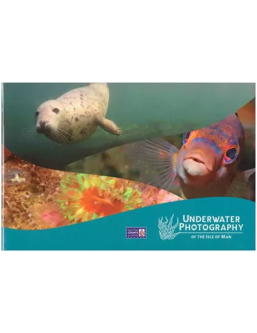 n° C2933 - Timbre ILE DE MAN Carnets