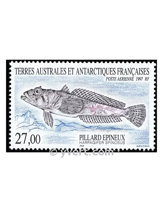 n° 145 - Timbre TAAF Poste aérienne