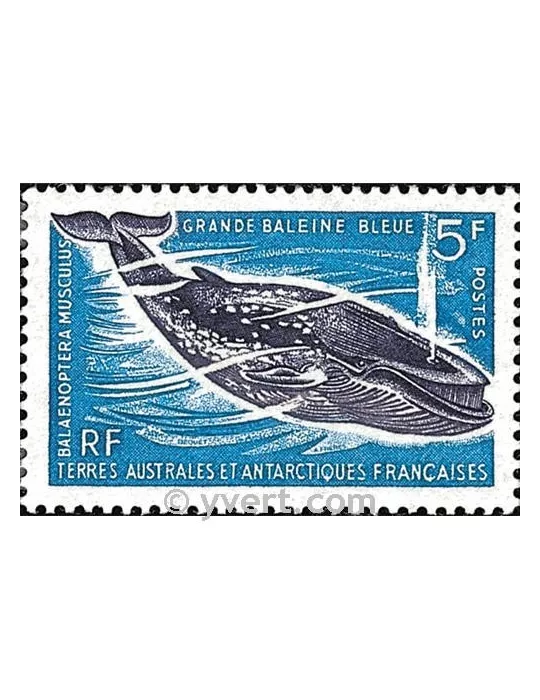 n° 22 - Timbre TAAF Poste