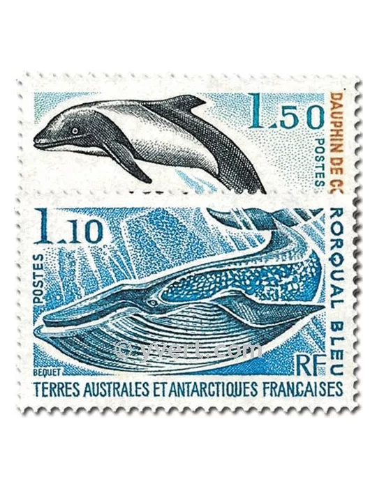 n° 64/65 - Timbre TAAF Poste