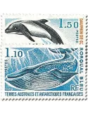 n° 64/65 - Timbre TAAF Poste