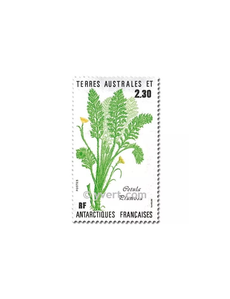 n° 118/119 - Timbre TAAF Poste