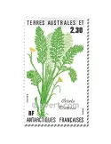 n° 118/119 - Timbre TAAF Poste