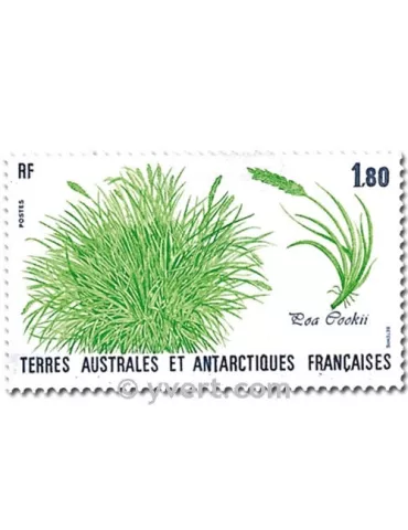 n° 125/126 - Timbre TAAF Poste 2