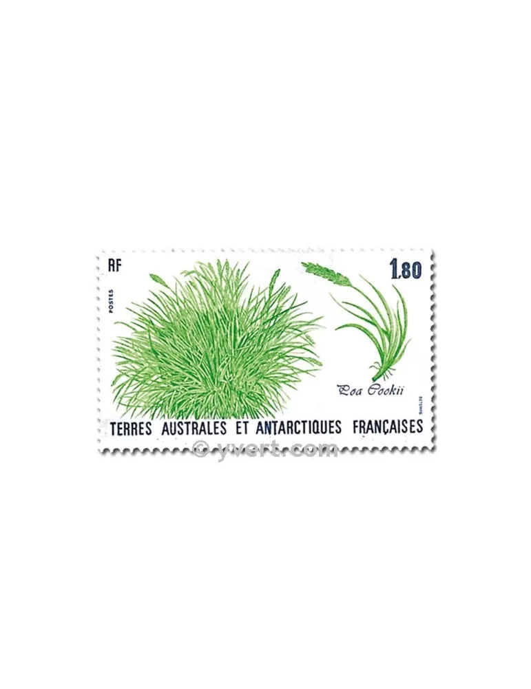 n° 125/126 - Timbre TAAF Poste