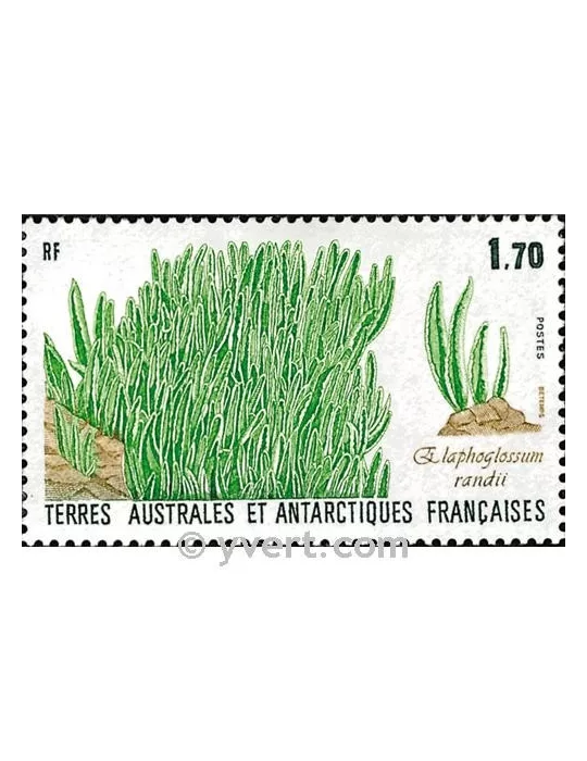 n° 131 - Timbre TAAF Poste