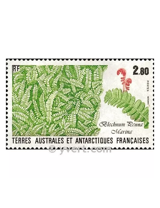 n° 143 - Timbre TAAF Poste