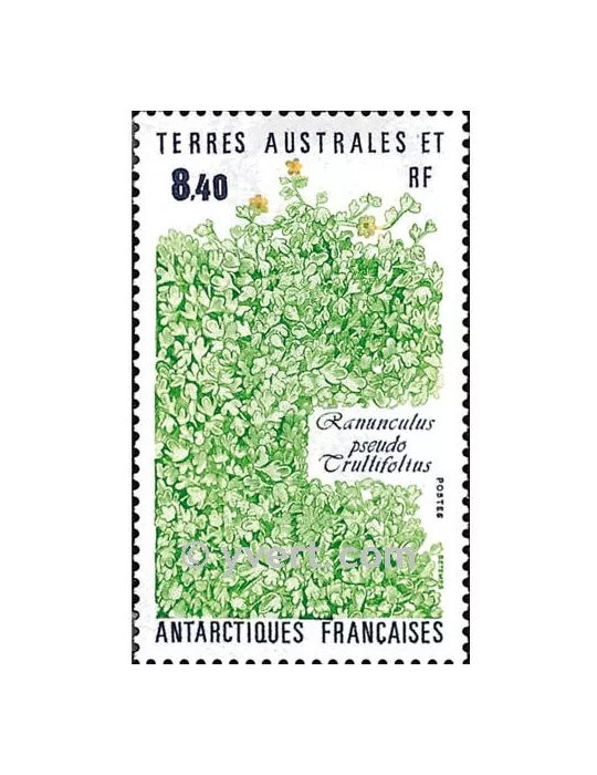 n° 154 - Timbre TAAF Poste