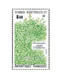 n° 154 - Timbre TAAF Poste
