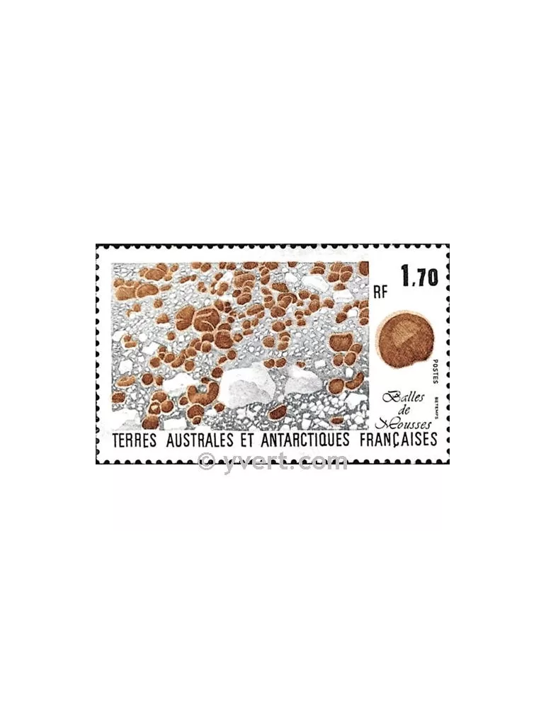 n° 156 - Timbre TAAF Poste