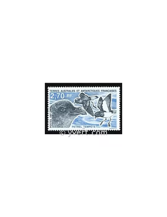 n° 214 - Timbre TAAF Poste