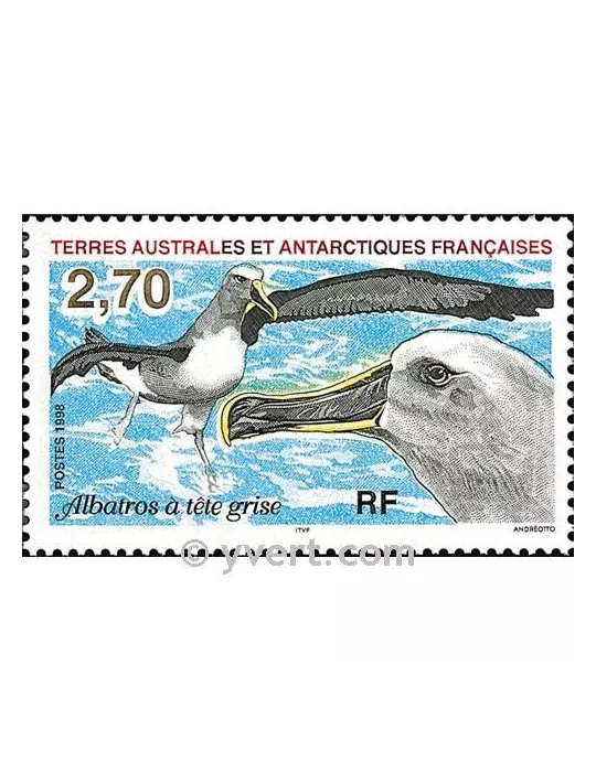 n° 229 - Timbre TAAF Poste