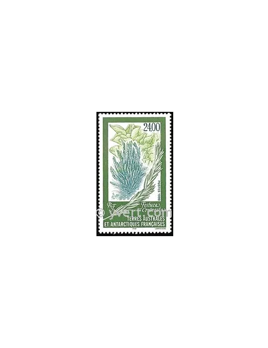 n° 244 - Timbre TAAF Poste