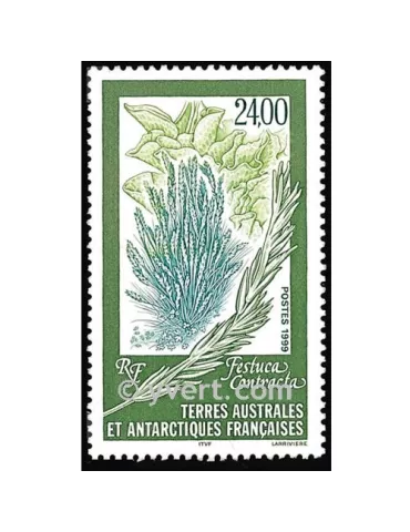 n° 244 - Timbre TAAF Poste 2
