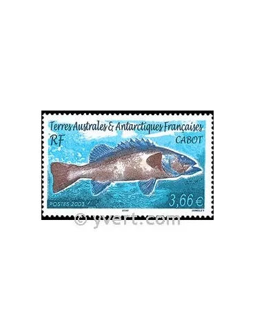 n° 359 - Timbre TAAF Poste