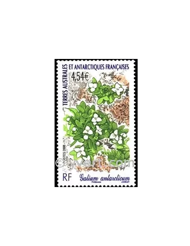 n° 500 - Timbre TAAF Poste