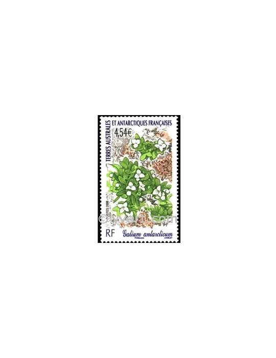 n° 500 - Timbre TAAF Poste