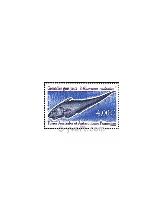 n° 505 - Timbre TAAF Poste