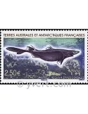 n° 525 - Timbre TAAF Poste