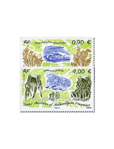 n° 528/529 - Timbre TAAF Poste