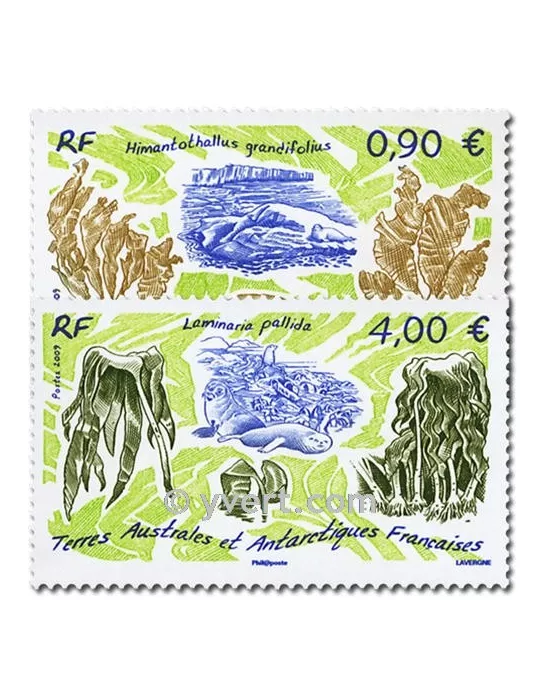 n° 528/529 - Timbre TAAF Poste