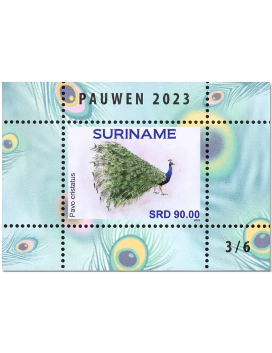 n° 196/201 - Timbre SURINAM Blocs et feuillets