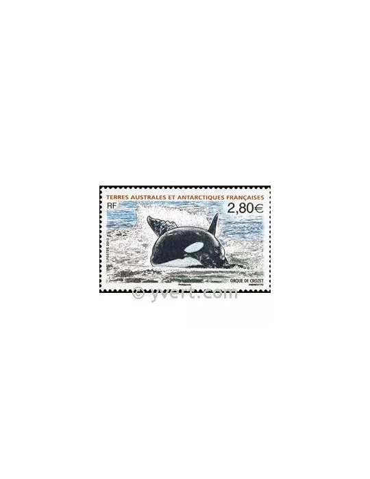 n° 552 - Timbre TAAF Poste