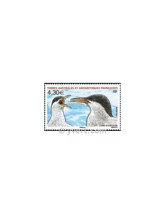 n° 553 - Timbre TAAF Poste